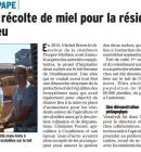 rcolte de miel  la rsidence Prosper-mathieu